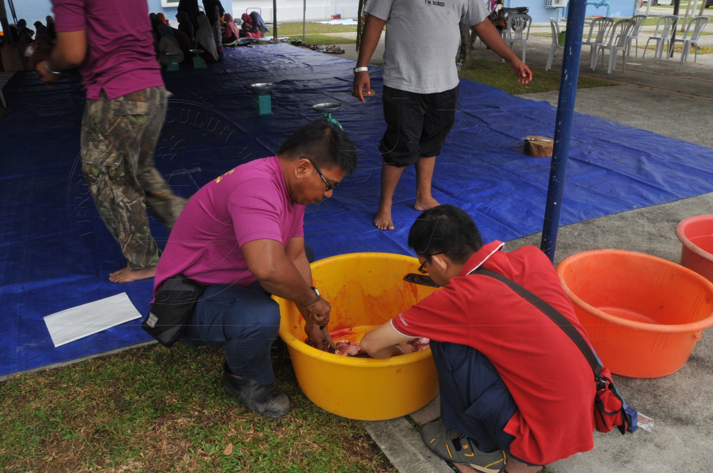 PRO15 150 KORBAN HAS 6866